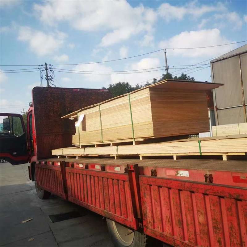 黑龙江绥化肇东至塔城货运专线，一站式物流服务助您成功